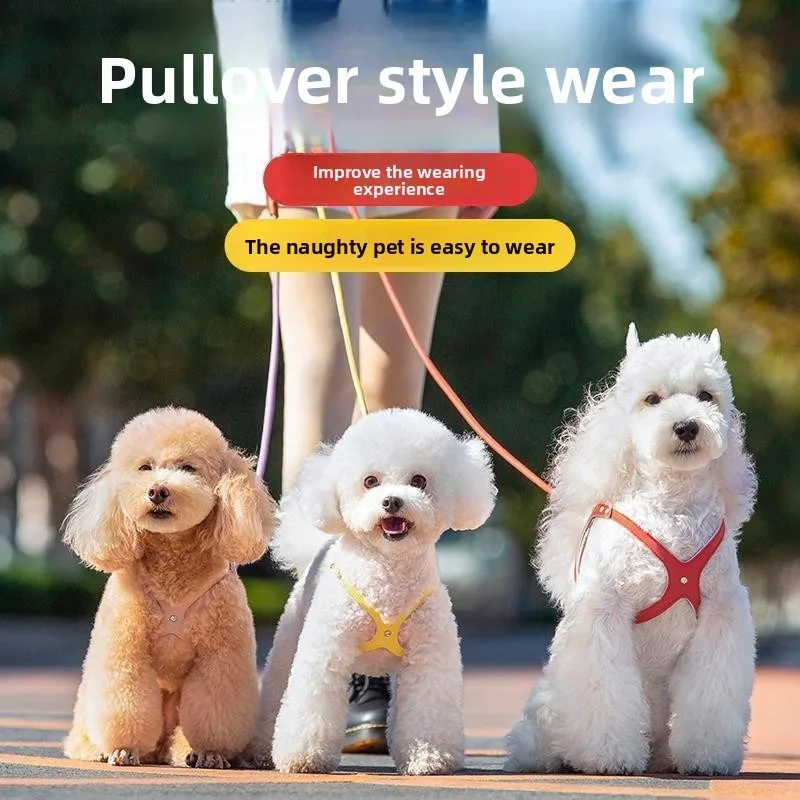 Thumbnail 2 - #82 Popular Puppy Leads Choices
