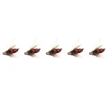 Red 5pc