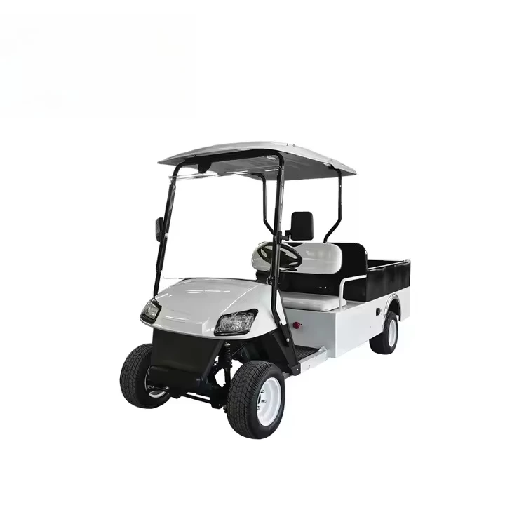 High-power 2-seat electric golf cart Customized 2-seat golf cart accessories are directly purchased from China