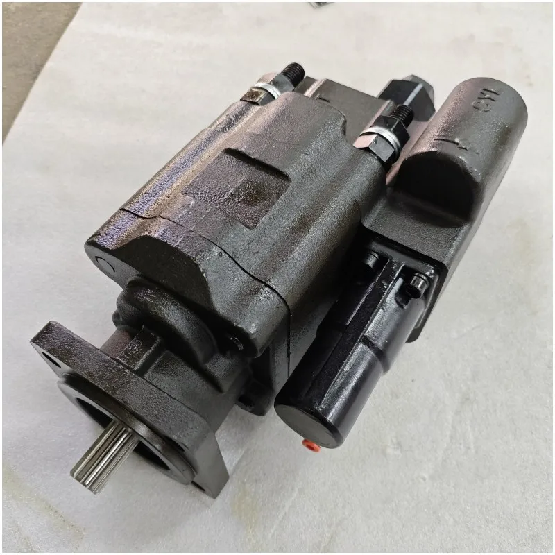 Pompa hydrauliczna bezpośrednio od producenta C102-25LMS-3-25 C102-25LAS C101-25XMS Pompa zębata