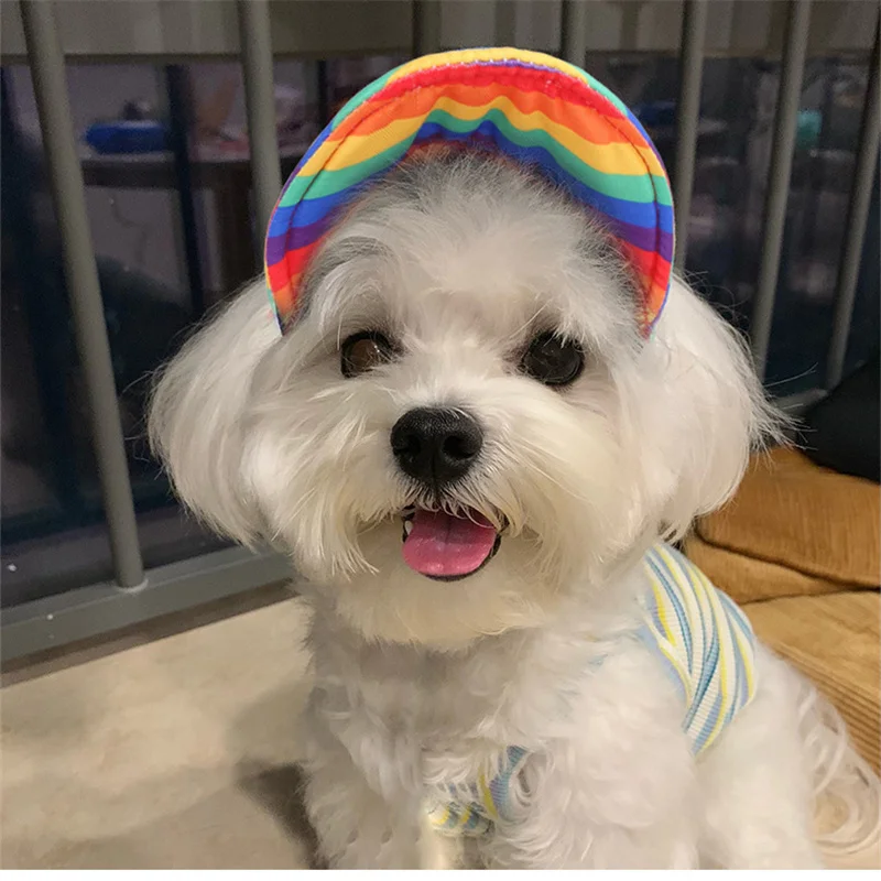 

Pet Dog Hat Colorful Baseball Cap for Cat Puppy Small Dogs Outdoor Summer Casual Sport Style Headwear Cute Dog Accessories