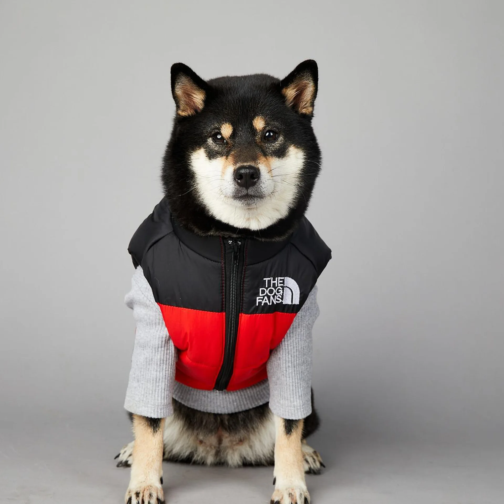 Hond Gezicht Punch Grote Honden Winter Warme Regenjas Anti Huisdier Katoenen Kleding Winddichte Regenbestendige Hondenjas