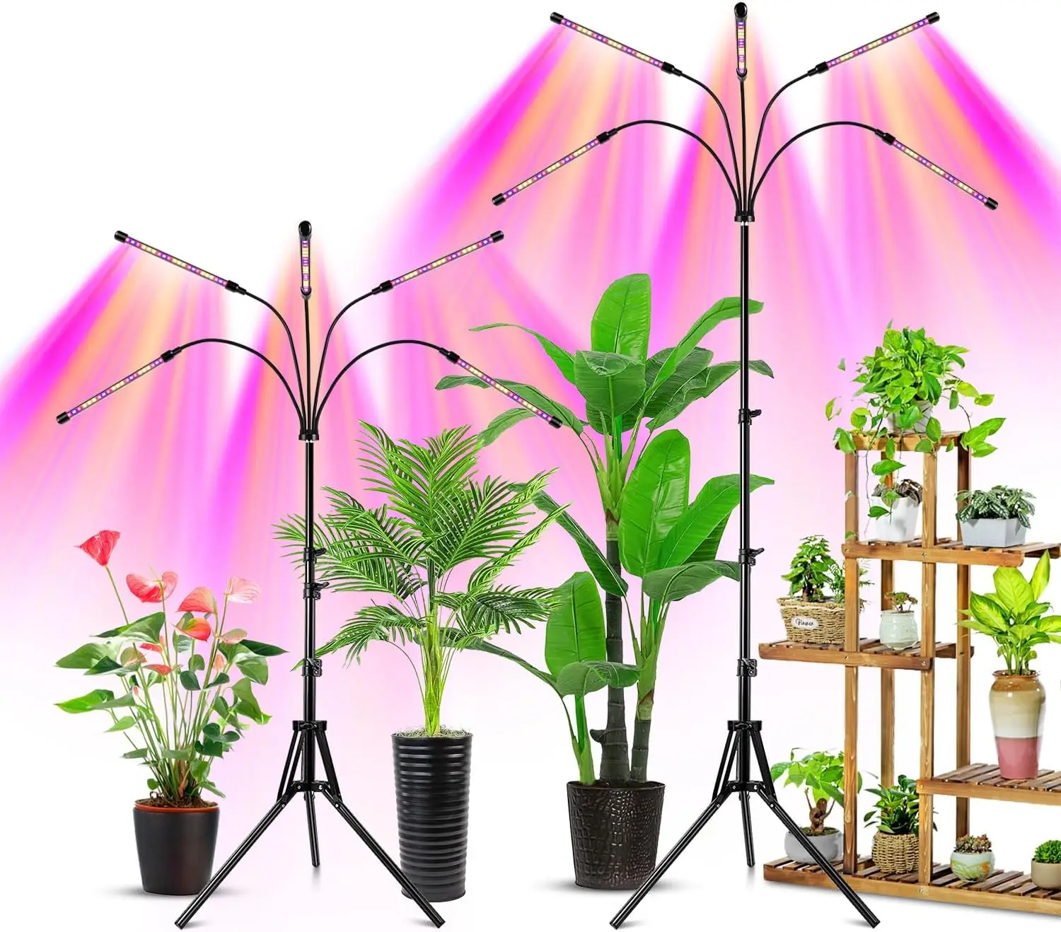 

Full Spectrum LED Grow Light with Timer, Adjustable Stand for Indoor Plants, 5 Heads, Energy Efficient