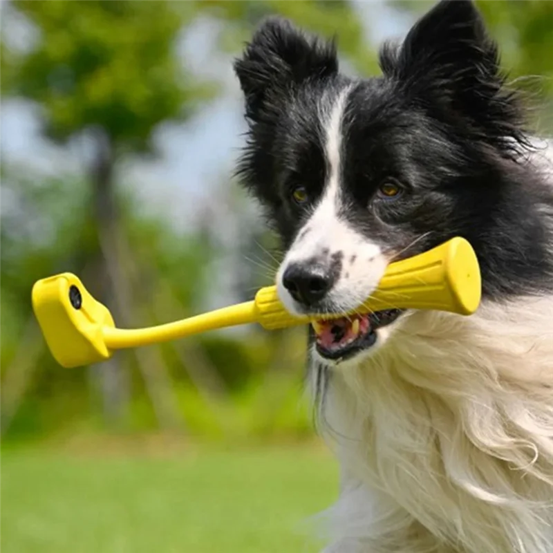 جديد لـ Insta360 GO 3 Pet Mouth Bite Selfie Stick Record فريد من نوعه منظور المطاط المواد الملحقات المهنية