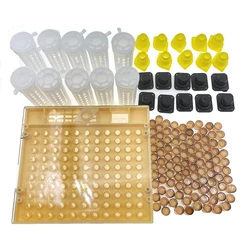 Nicot Apiculture Kit Incubator Box Queen Rearing Cupkit 120PCS Brown Cell Cup Protection Cover Cage Plastic Beekeeping Supplies