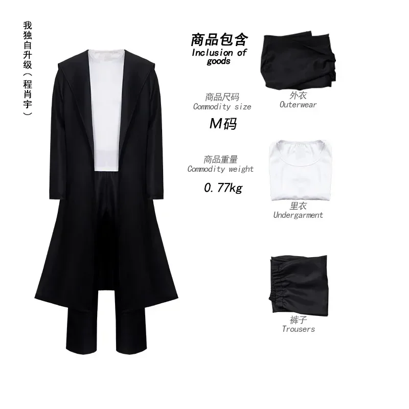 Cosplay Anime Solo - 2026 Anime Knight Killer Sung Jin-woo