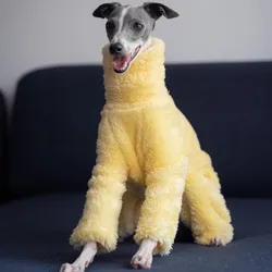 Cappotto per cani morbido giallo collo alto design inverno caldo pigiama per cani di taglia piccola media adatto per levriero italiano Whippet Bellington