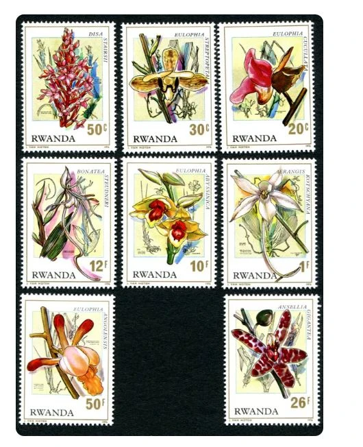 Briefmarken der Ruanda-Post, Jahr 1976, Blumen-Pflanzen-Orchideen, 1 Set, 8 neue MNH-Sammlerbriefmarken, Material für Scrapbooking – Detail 1