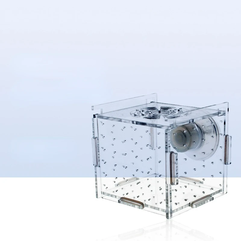 Thumbnail 2 - #13 Latest Aquarium Fish Nets Offers