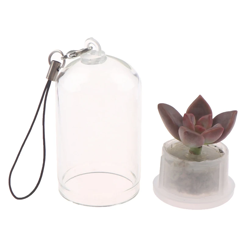 Succulent Plant Pendant Mini Succulent Cactus Plant Keychain Random Plant Pendant Keyring Charm With Glass Cover Craft Gifts