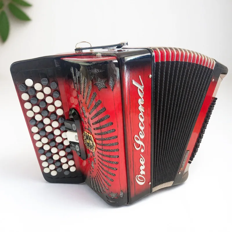 

Accordion 60 Bass 62key Button Type Spray Paint Variable Tone Professional for Beginners Adults Practice High Quality