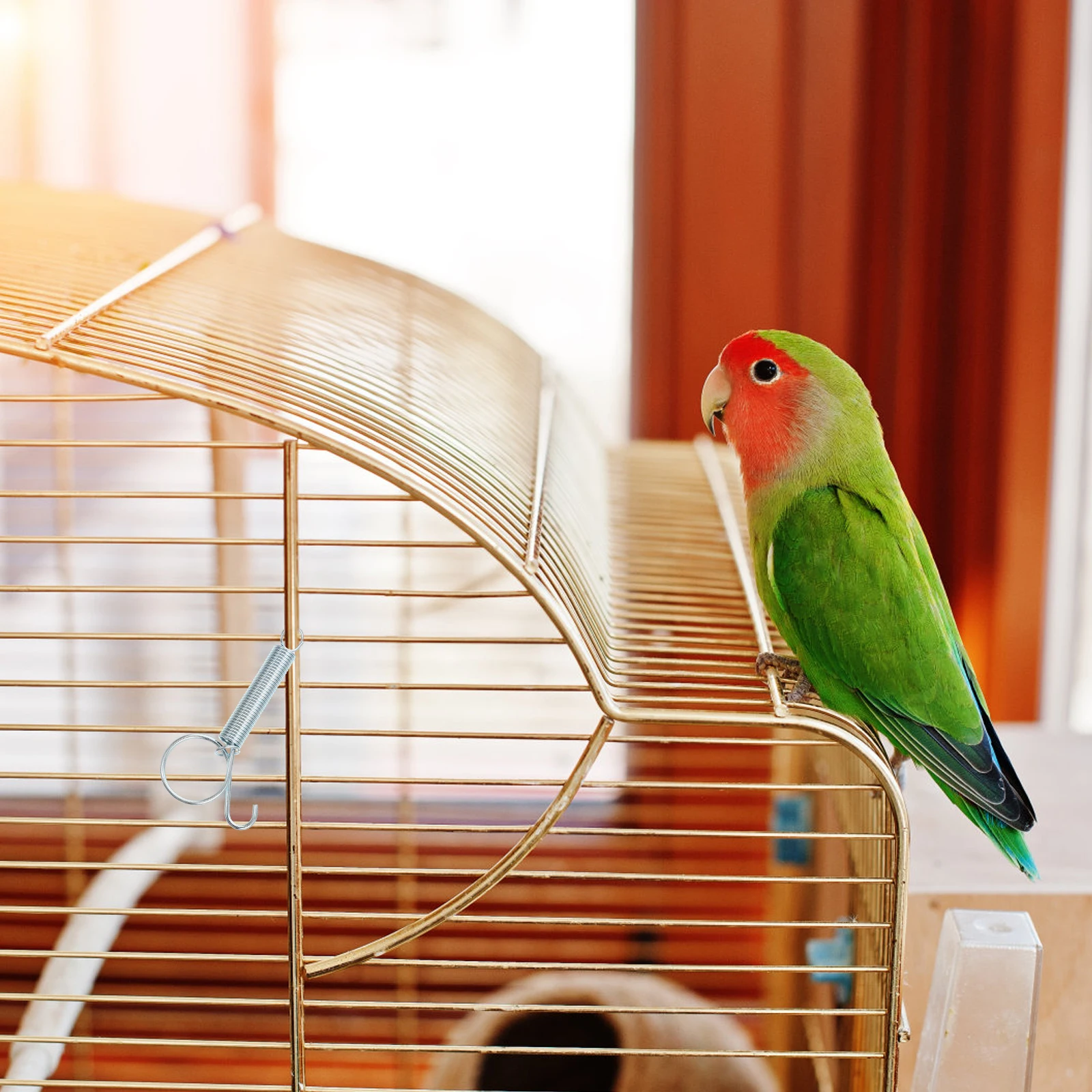 

10Pcs Door Spring Hook for Pet Cages Rustproof Steel Latch for Securing Rabbit Chicken Bird Cages Easy to Install Use