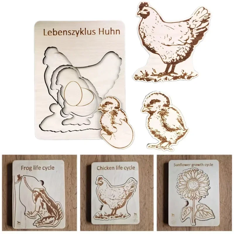 

Wooden Life Cycle Puzzle Layered Animal Insect Plant Growth Jigsaw Puzzle Preschool Educational Puzzles Toy