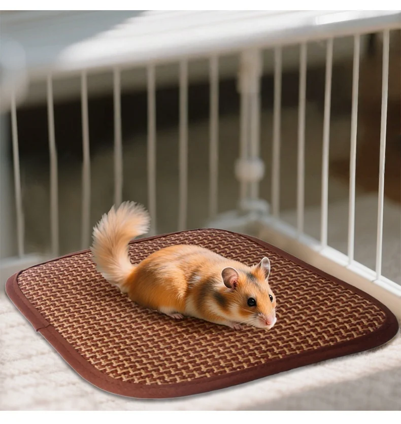 Rattan Grass Hanging Nest Small Animals Cool Mat Cooling for Squirrel Hamster Dragon Cat