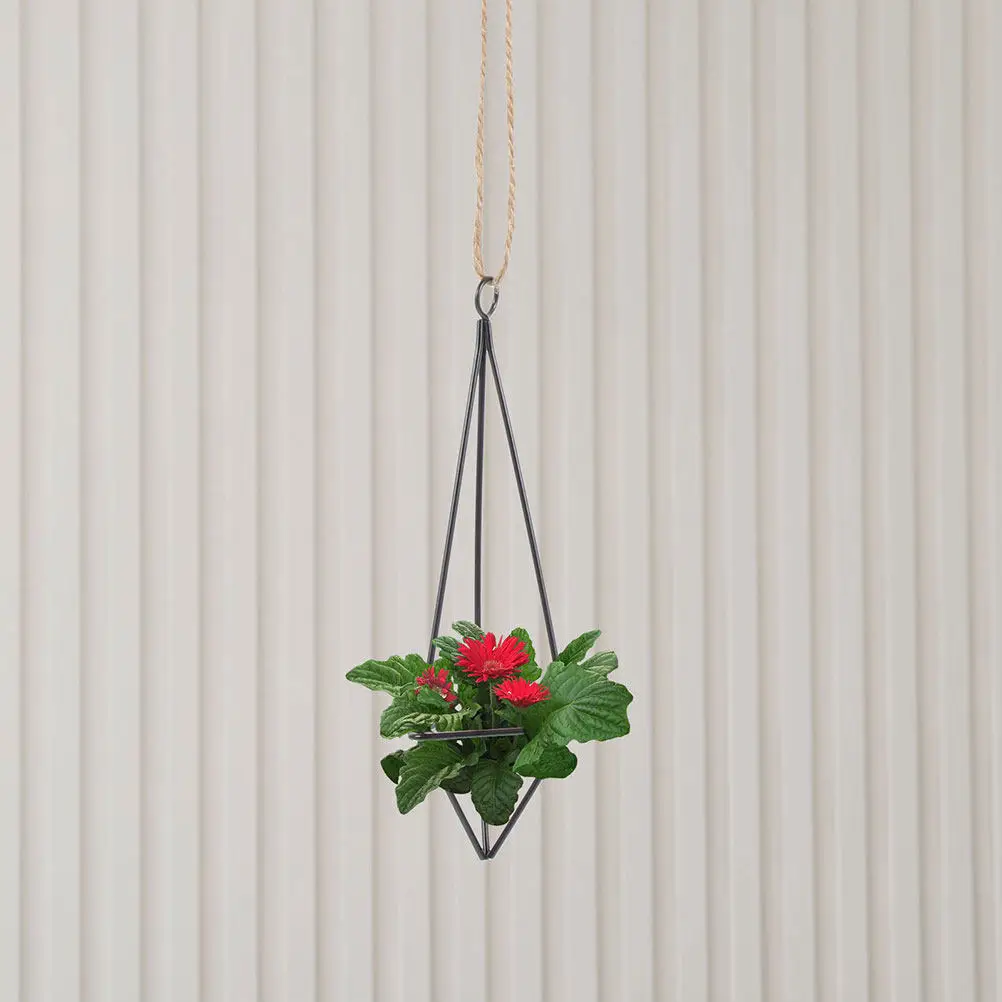 2Pcs Suspended Air Plant Holder Metal Hanging Rack Minimalist Decorative Iron Plant Hanger Home Decor Geometry Style Floating