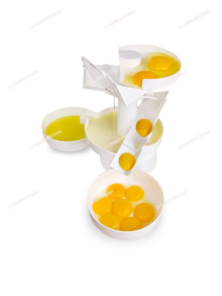 

Commercial Large White Yolk Separator Baking Tools Protein