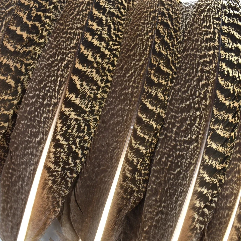 10Pcs Natural Peacock Bird Feathers Decoration Eagle Small Pheasant Feather Crafts Decor Hats Carnival Wedding Jewelry Creation – Detail 9