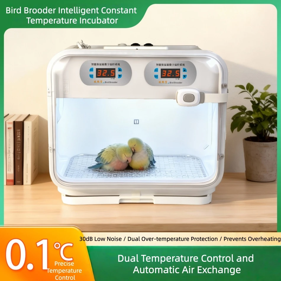 New Design PP Bird Brooder - Dual Temp Control Pet Hatchery Unit for Hatching & Chick Rearing