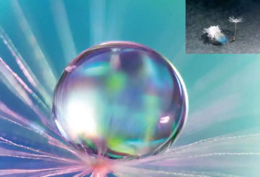 ZHONGYI 20 مللي متر F2 4X عدسة ماكرو تركيز يدوي إطار كامل لسوني E Nik F Fuji X Pentax PK Canon EOS EF Mount Camera