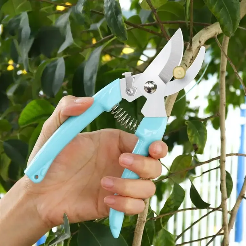 

Pruning Scissors Orchard and Garden Hand Tools Tree Trimmers Secateurs Cutter Gardening Pruner for Planting Bonsai Blue 02