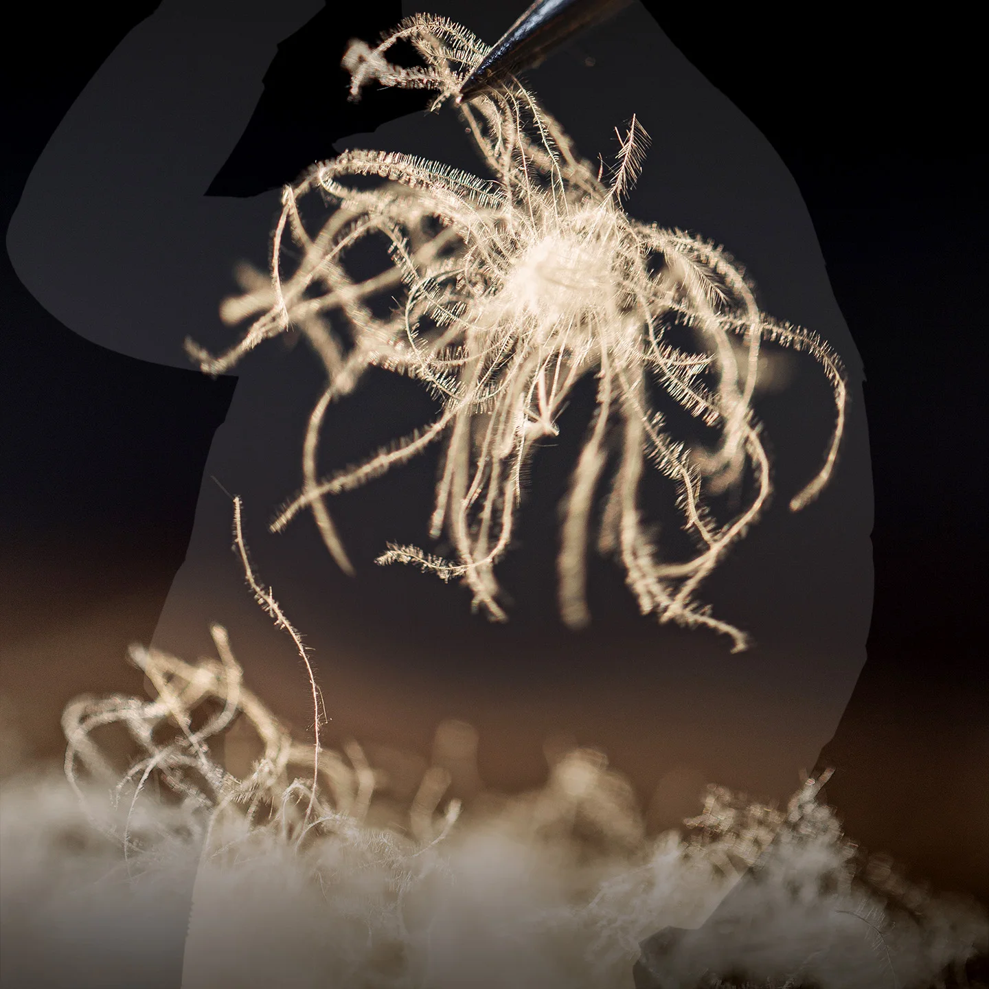 سترة نسائية من Maden بياقة واقفة 90% من ريش البط معطف منتفخ قصير بسحاب أمامي سميك ودافئ ملابس خارجية للشتاء