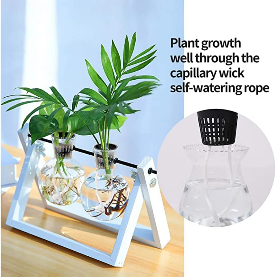 

Set of 25 Pot Net Cup Plastic Containers for Garden Plants and Aeroponic Cloning Machines Mesh Basket for Propagation