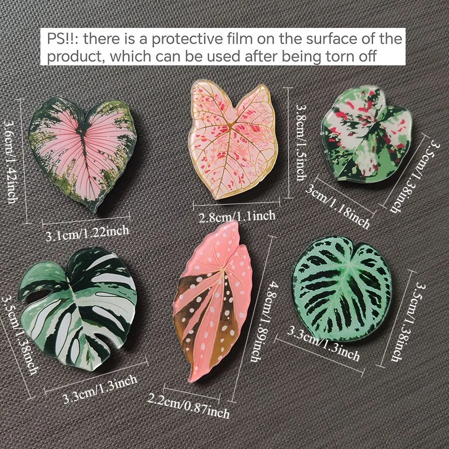 6 Stück süße Begonia Monstera Kühlschrankmagnete, Kawaii tropische Pflanzen Kühlschrankmagnete, Whiteboard-Aufkleber