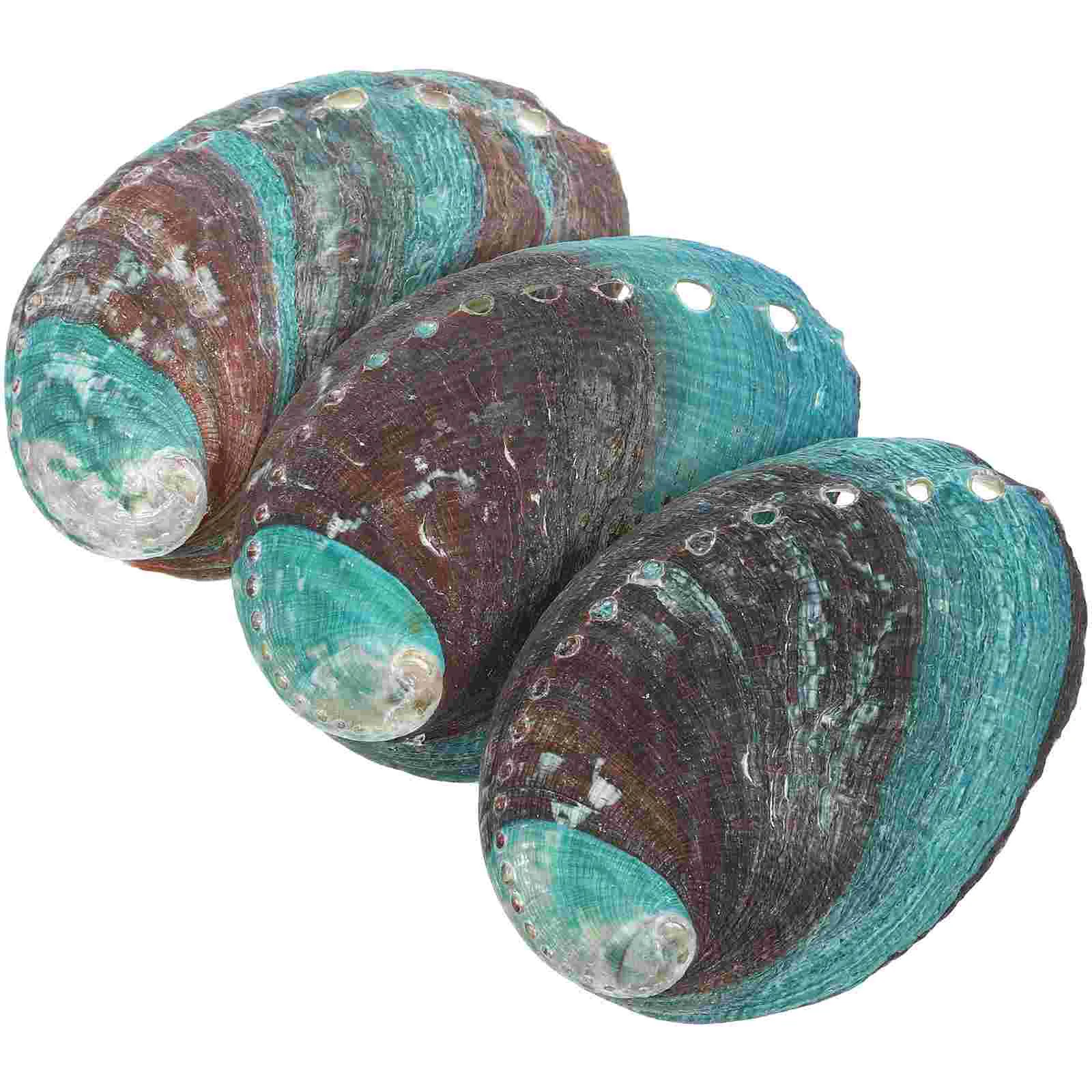 

3 Pcs Natural Shell Abalone Decorative Ornaments Offering Holder Seashells Empty Smudge Bowl Smudging Kit Sink Tray