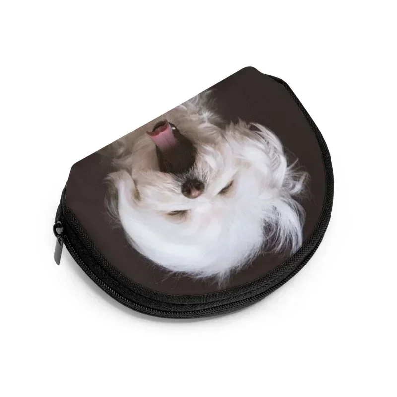 Porte-monnaie imprimé chien maltais mignon pour femme, petit sac en toile, fermeture éclair, clé, poche pour argent, Wallt