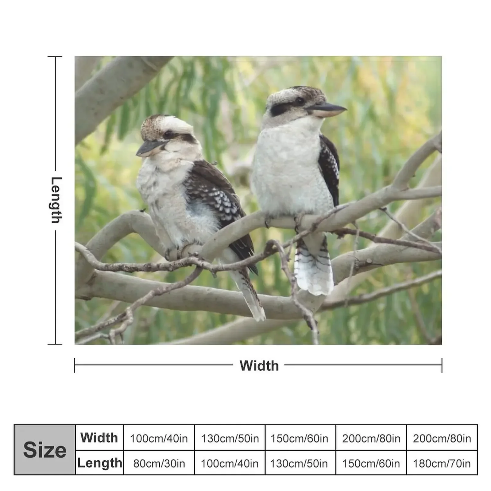 Kookaburra sits in the old gum tree Throw Blanket Bed Fashionable cosplay anime Blankets