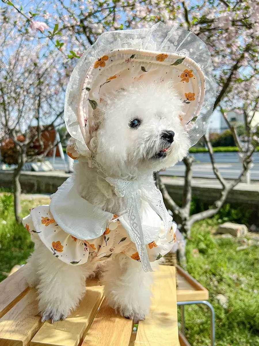 

2026 new arrival small dog dress set, cute orange floral pet skirt and sun hat, lace princess puppy clothes for chihuahua