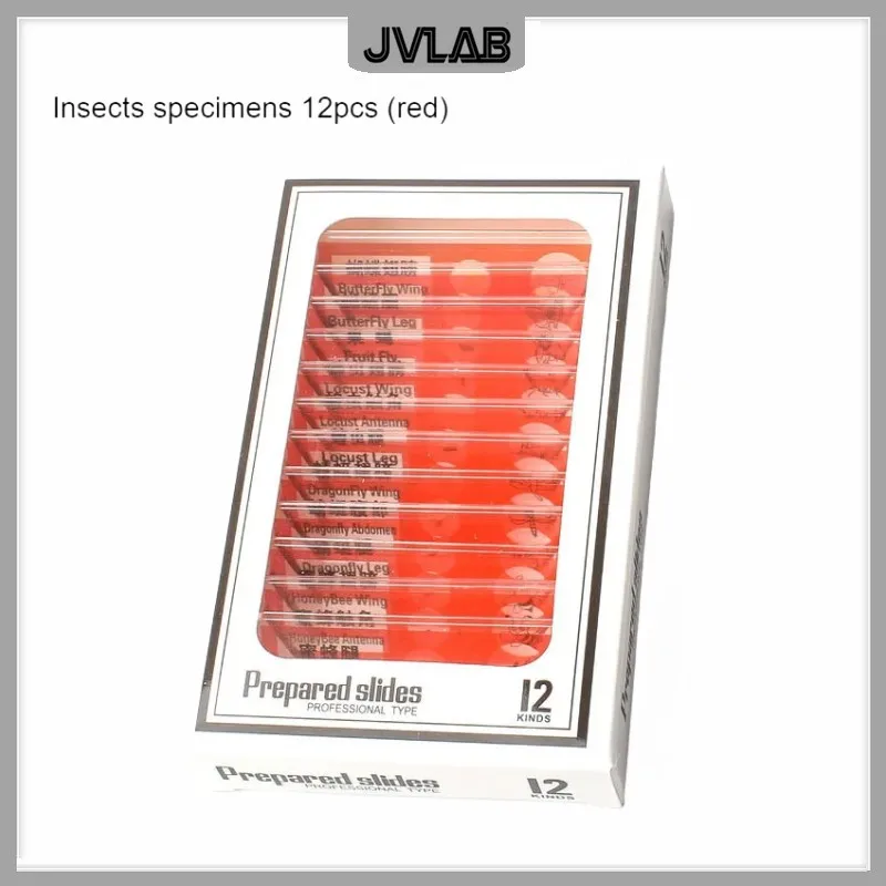 กล้องจุลทรรศน์สไลด์12เด็กมาตรฐานกล้องจุลทรรศน์พลาสติกพิเศษBio-Sliceตัวอย่างแมลงสัตว์พืชดอกไม้ตัวอย่างSlice