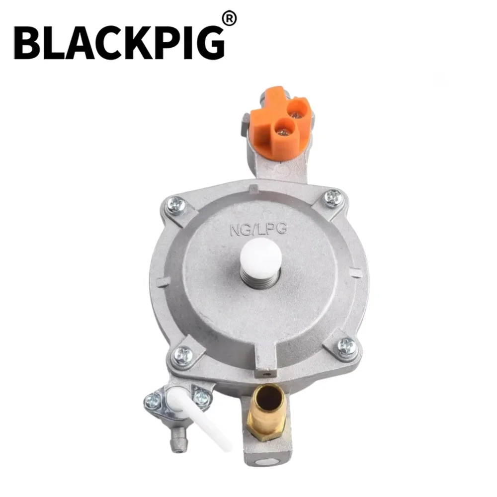 GT241 154F Engine LPG Dual Fuel Carburetor Reducer Assy Gasolina Petrol Generator Parts
