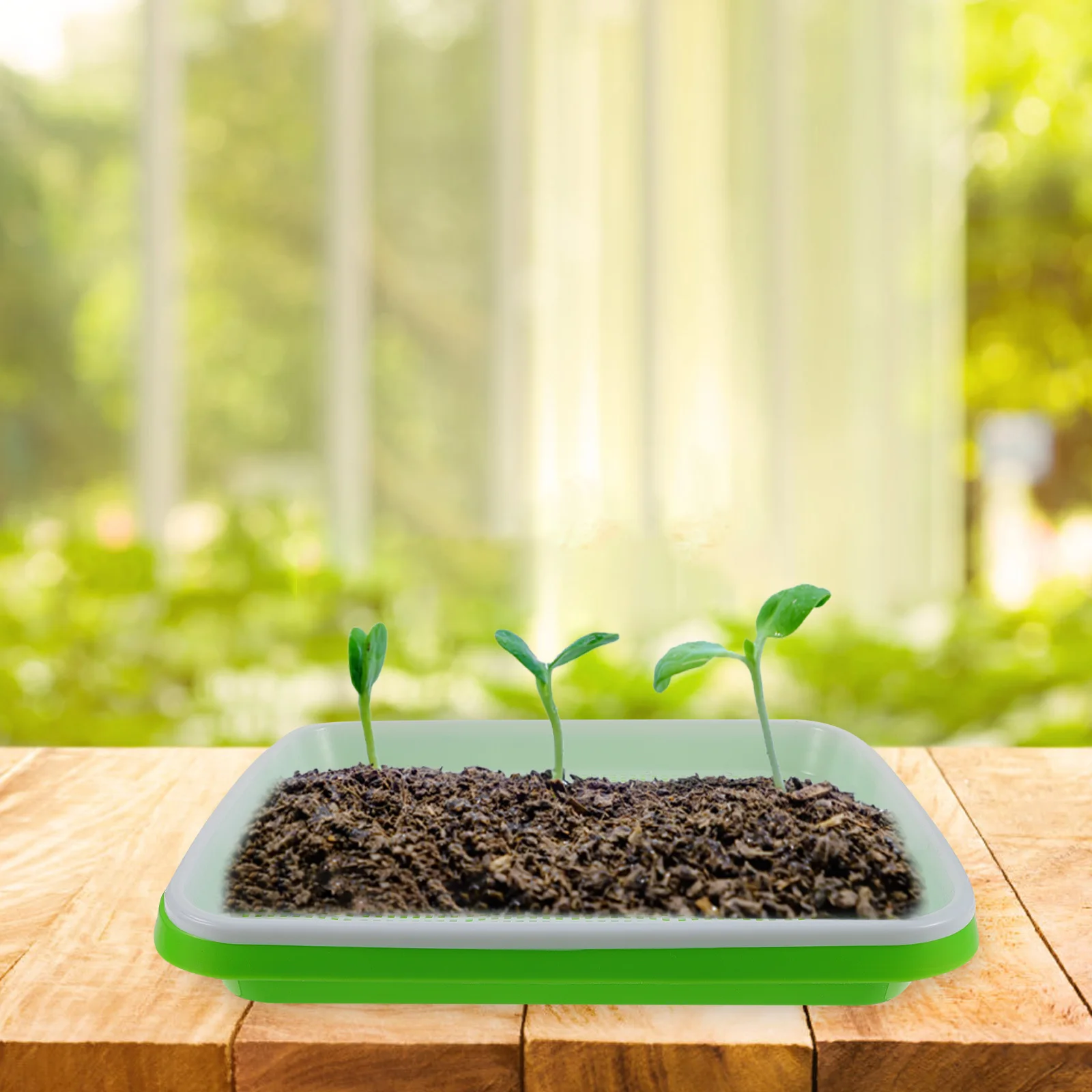 

1Set Useful Plant Germination Tray Sturdy Watersaving Hydroponic Growing Tray for Vegetables and Herbs Plant Germination Plate