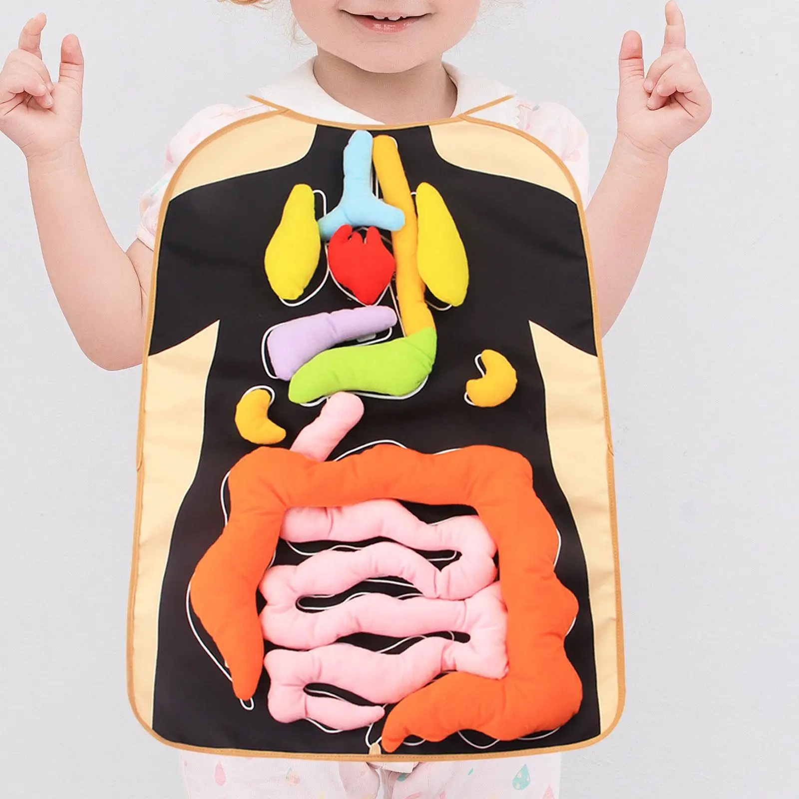 3D Organ Apron Pretend Play Intellectual Development Early Childhood Human Body Organs Apron Model for Insights Preschool Home