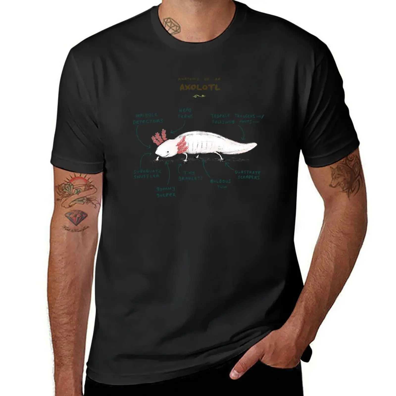 Anatomy of an Axolotl T-Shirt boys whites tees mens champion t shirts