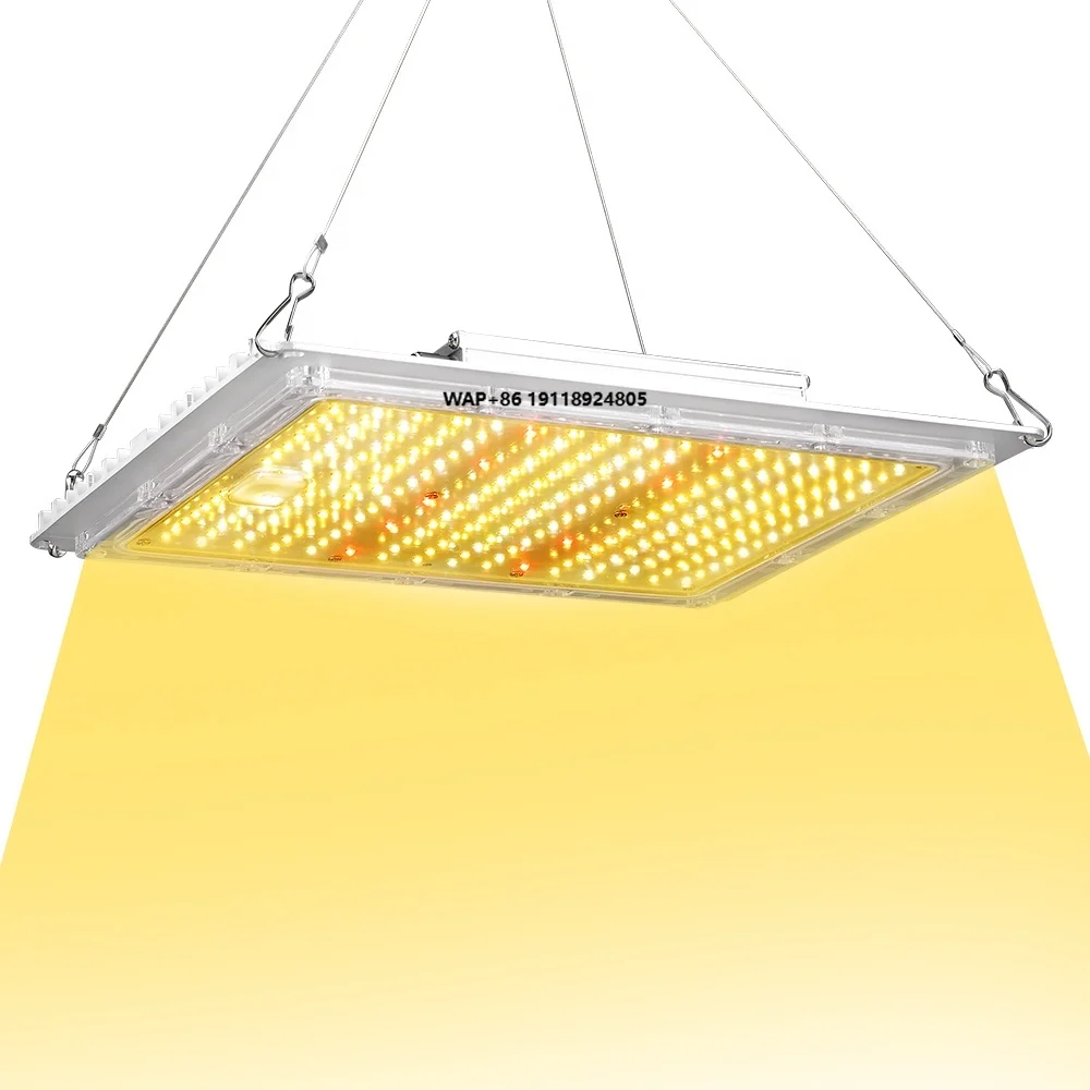 

Full Spectrum for Indoor Vegetable Flower Growth 100w 220w 450w 600w 800w 1000w Led Grow Light