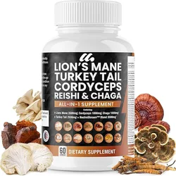 Lions Mane mushroom supplement contains turkey tail, Ganoderma lucidum, cordyceps sinensis, and Chaga mushroom