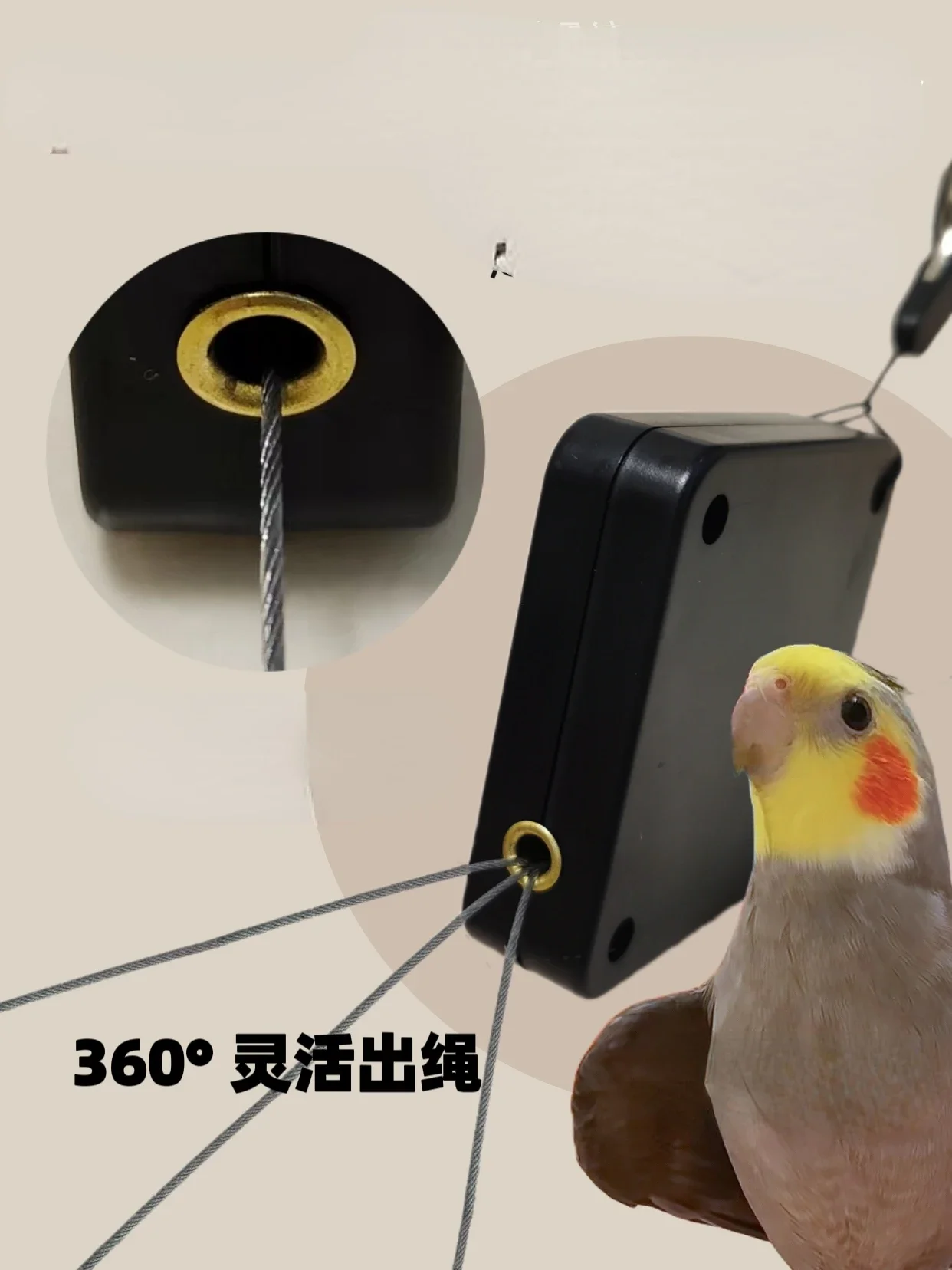 Parrot leash, automatic telescopic foot ring, release rope, do not hurt feet, go out to fly, bird walking artifact