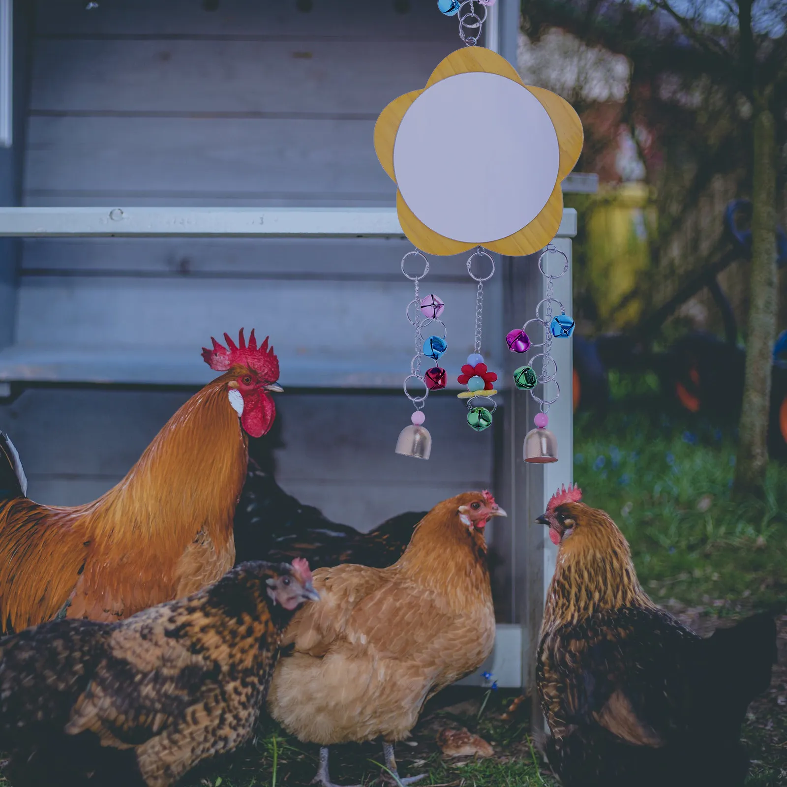 

1Set Bright Creative Chicken Hanging Chew Swing Plaything Easy Install Chicken Coop Foraging Hanging Pet Cage Accessory