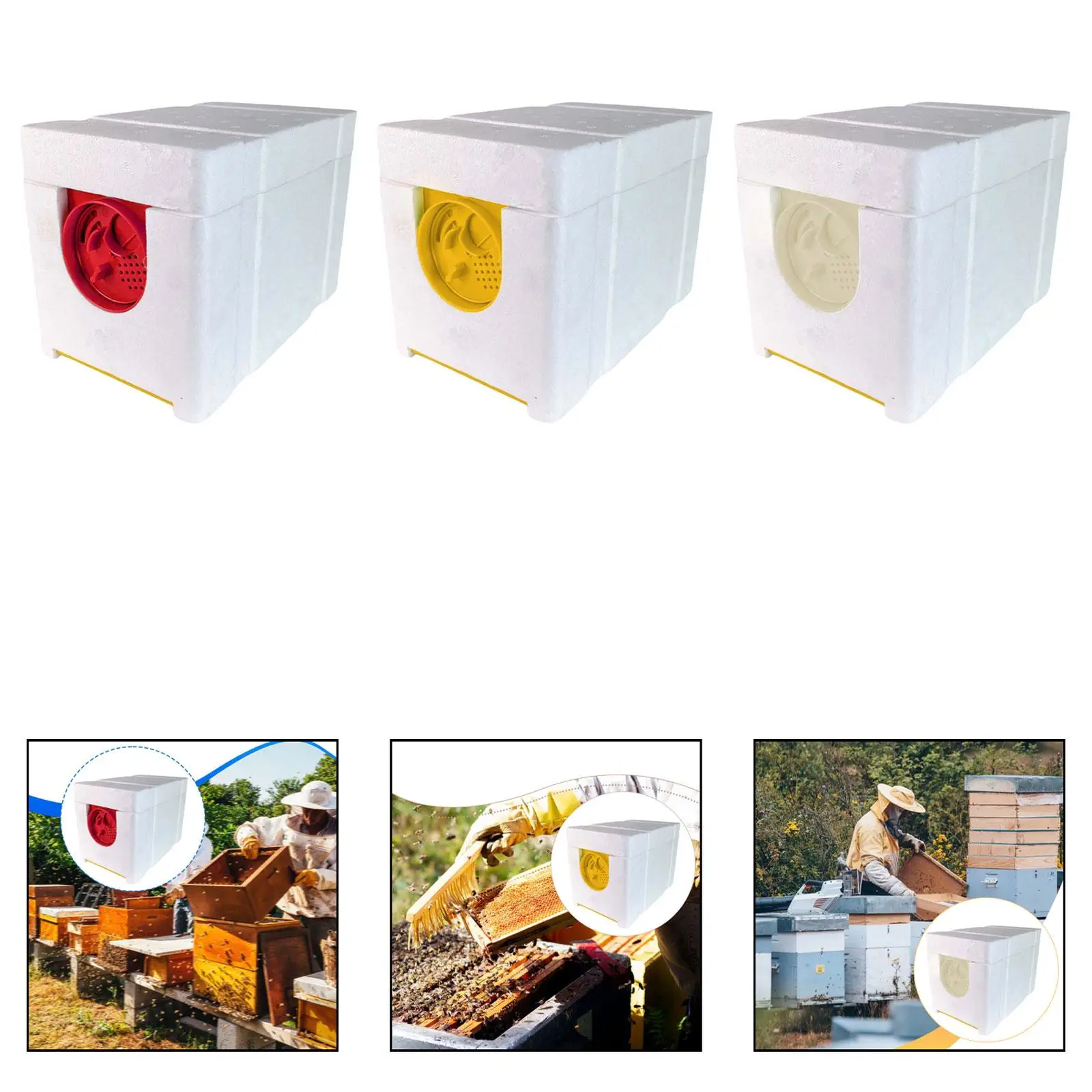 Beekeeping Box Kit with Rotating Entrance Polyfoam Bee Mating Nuc Hive for Raising Queens and Pollinators Beekeeping Box Kit with Rotating Entrance Polyfoam Bee Mating Nuc Hive for Raising Queens and Pollinators