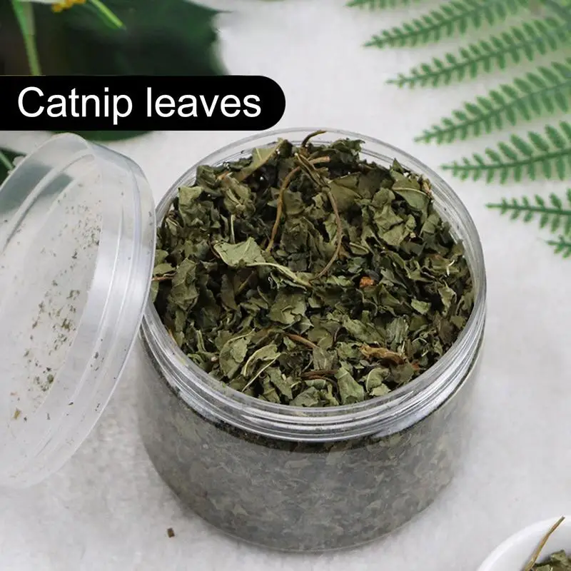 Cat Toy Organic Catnip 100 High-quality Natural Cat Grass Leaf Single Cans Interesting Cat Toy Interactive Snacks Natural