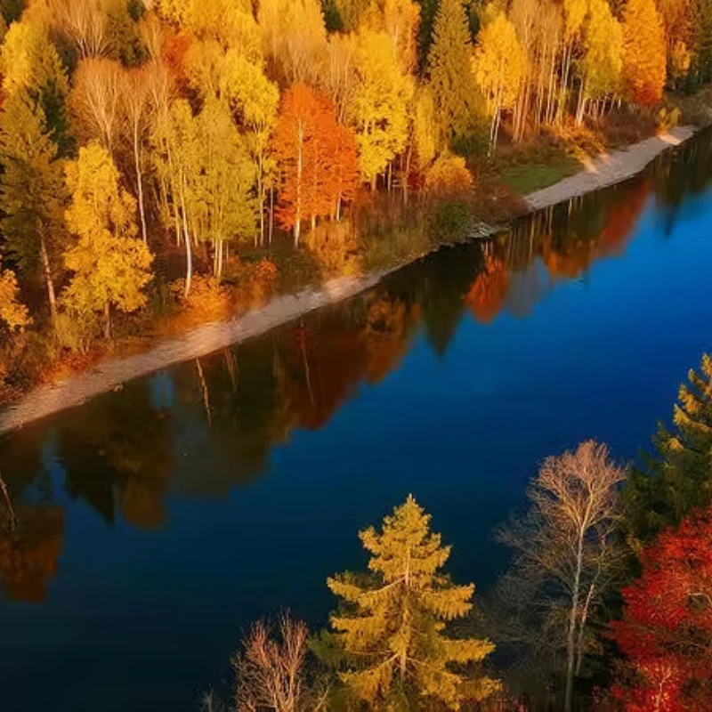 

2 пары пропеллеров EMAX Avan Tinyhawk TH Turtlemode, 2CW+2CCW, 4-лопастные, 40 мм, для полетов в помещении, для мотора 08025