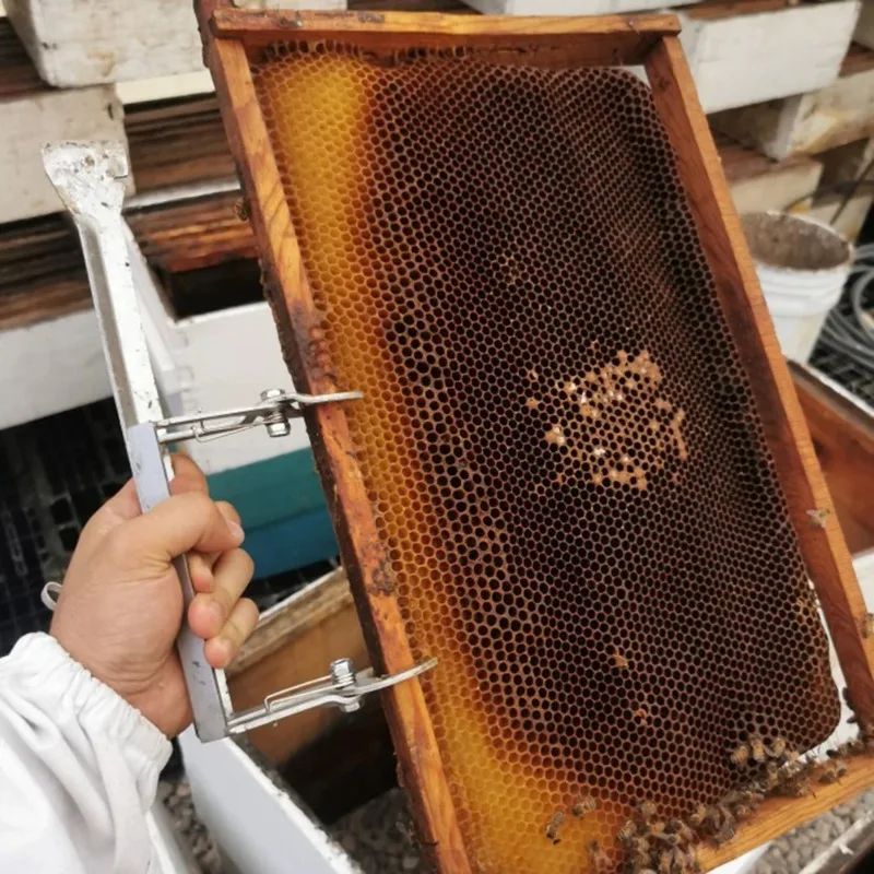 

4 Pcs Beekeeping Stainless Steel Shovel Splint Clip Metal Scraper Clips Scraper Multi-function Nest Frame Clips Frame Hardware