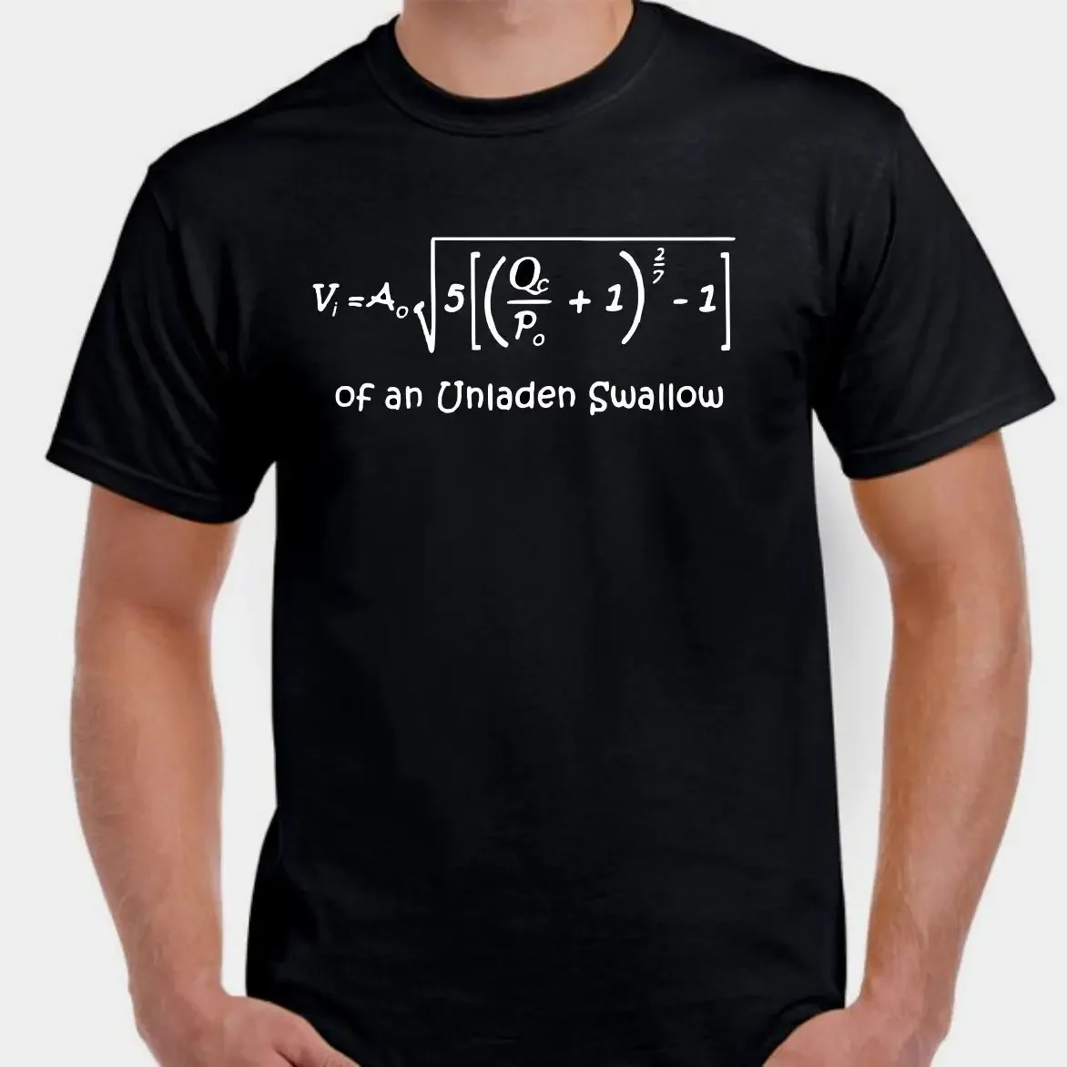 Monty Python Holy Grail Airspeed Velocity of a swallow T shirt Tee