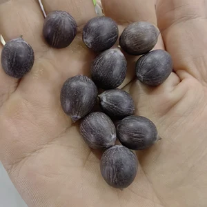 بذور اللوتس الأحمر الأبيض الوردي Nelumbo Nucifera المنزل البخور المواد الخام DIY أفضل 10 طقم ماريجوانا وردية مبيعا - رقم 9