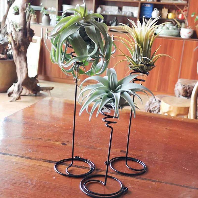 3pcs/set Metal Air Pineapple Stand Base Plant Flower Rack Holder Home Balcony Decor