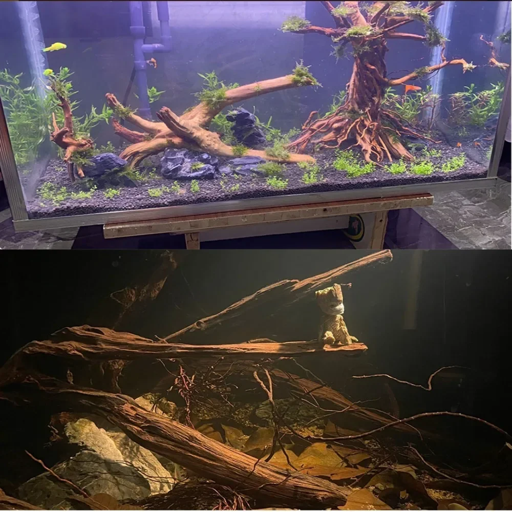 Diy Wood Aquarium Driftwood Slender Rainforest Style Rattan Fine Root Landscaping