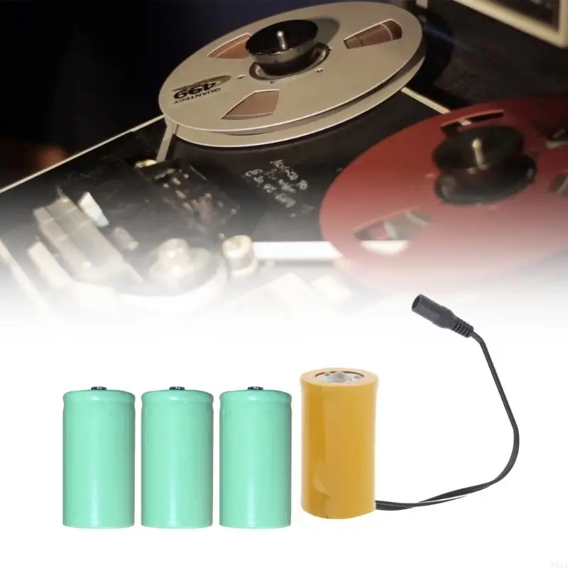 W91A AC100-240 bis 6V1A LR20 D Dummy-Batterie-Stromkabel, Batterie-Eliminatoren, 4 Stück, 1,5 V