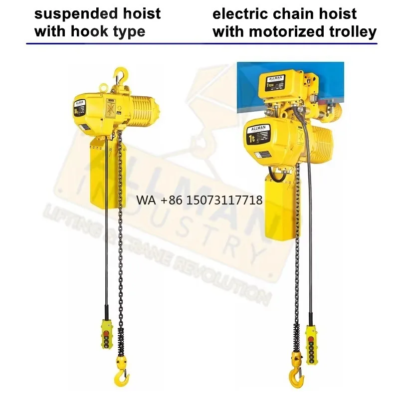 

CE Approved Electric Crane Hoist With Wireless Control, 500kg Electric Chain Hoist